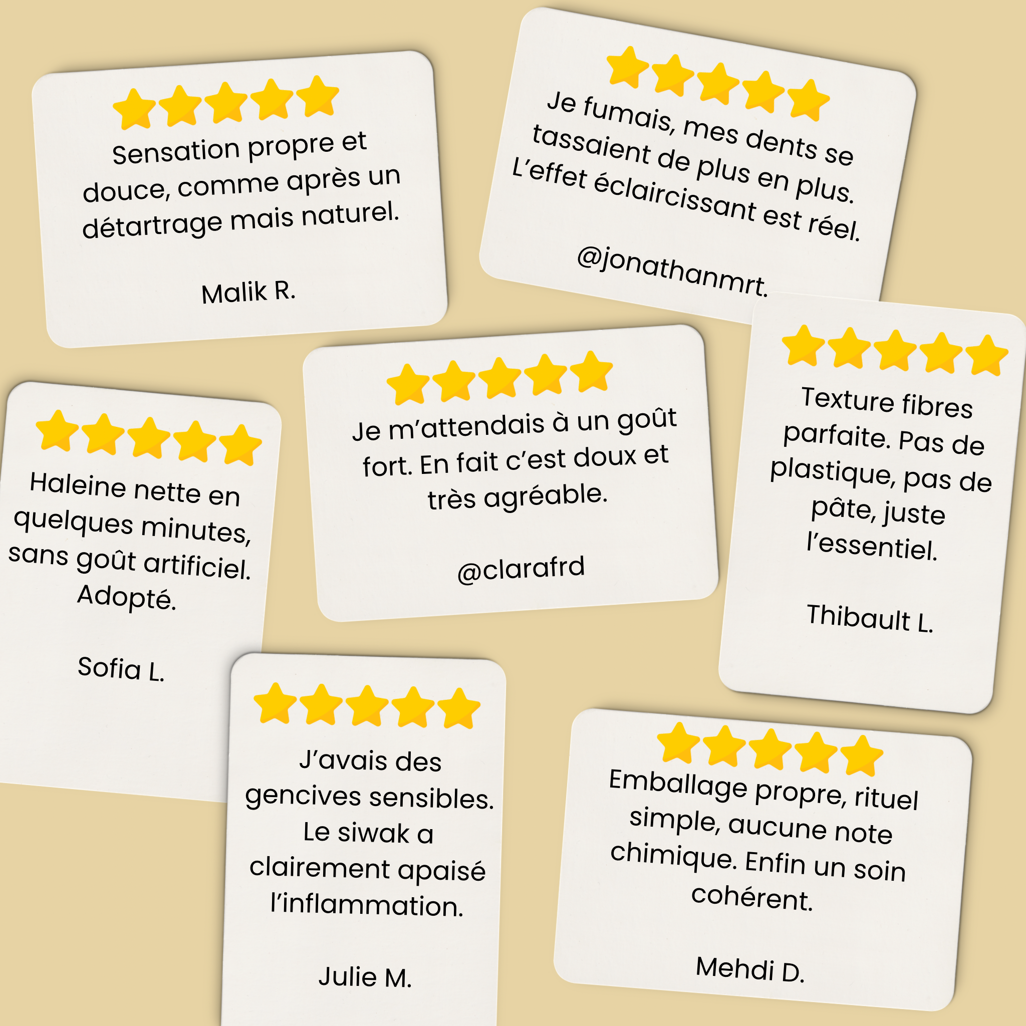 Bâton Naturel de Siwak